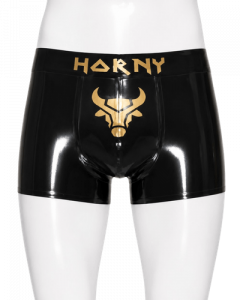 Latex Retro Pants HORNY